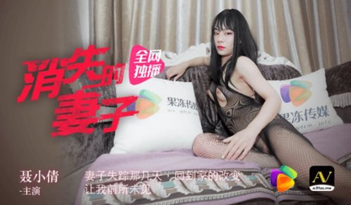 消失的妻子 聂小倩 果冻传媒